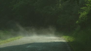 Steam rising from the road after the rain