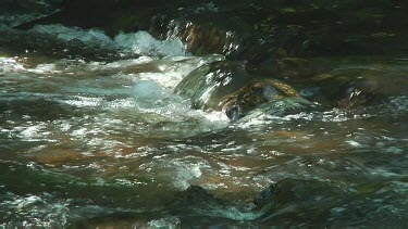 Water flowing in a small stream