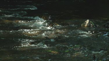 Water flowing in a small stream