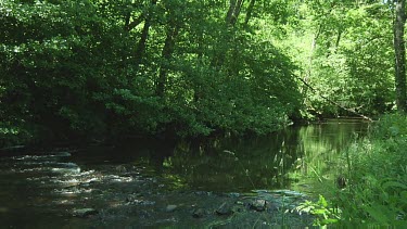 Water flowing in a small stream