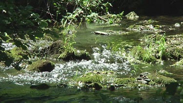 Water flowing in a small stream