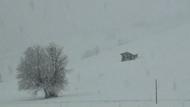 Snow falling on a tree and a little house in the French Alps