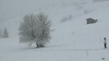 Snow falling on skiing people, a tree and a little house in the French Alps