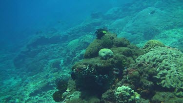 Flying over the coral reef of the Bali Sea