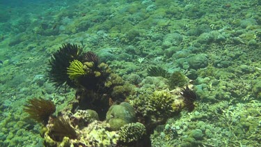 Flying over the coral reef of the Bali Sea