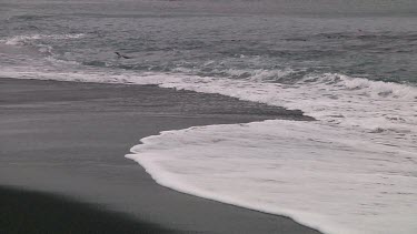 Waves on the black sand of Macquarie Island (AU)