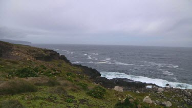 Wind and mist on Campbell Island (NZ)