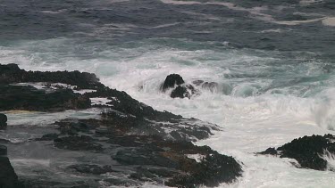 Wind and mist on Campbell Island (NZ)