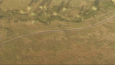 Aerial view of Serengeti National Park