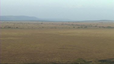 Aerial view of Serengeti National Park