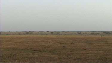 Aerial view of Serengeti National Park