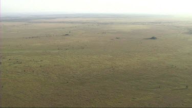 Aerial view of Serengeti National Park