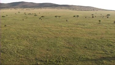 Aerial view of Serengeti National Park