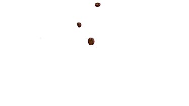 Coffee Beans Falling against White Background, Slow Motion