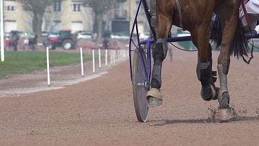 Horse racing, French Trotter racehorses during Racecourse, Caen, Normandy, France