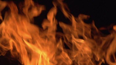 Bonefire, Fire flames in campfire, campsite in Botswana, Slow Motion