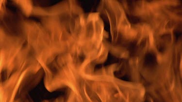 Bonefire, Fire flames in campfire, campsite in Botswana, Slow Motion