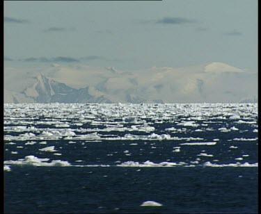 Track along sea. Large chunks of ice floating.