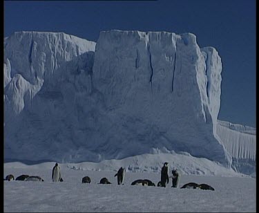 Emperor penguins with majestic ice rock formation in background.