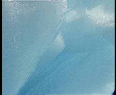 Krill swimming under iceberg.