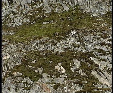 Rugged rocky landscape.