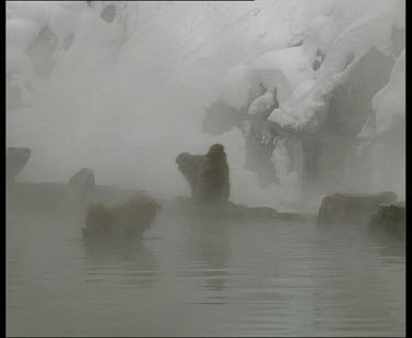 Bathing in hot spring while two other snow monkeys stand at edge. Snow covered mountain in background.