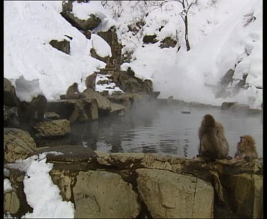 Two babies playing and running along rocks at edge of hot spring. They call to the other side. Steam rising.