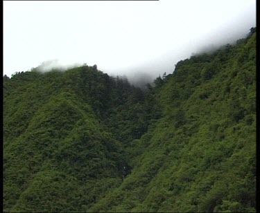 Zoom in. Forested mountain slopes with mist at peak.