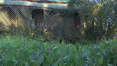 Derelict house with covered balcony. Overgrown balcony