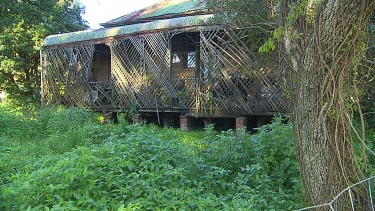 Derelict house with covered balcony. Overgrown balcony
