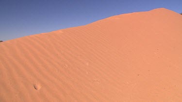 Famous Sand Dune, "Big Red" - gateway to Simpson Desert. Pan across to flooded desert plain.