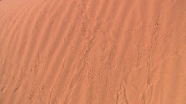 Famous Sand Dune, "Big Red" - gateway to Simpson Desert. Tilt up over patterned sand dune flooded desert plain.