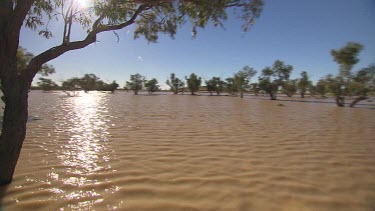 Tracking over flooded waters of desert plain during wet season. Point of View from boat