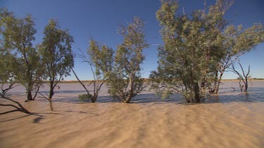 Tracking over flooded waters of desert plain during wet season. Point of View from boat