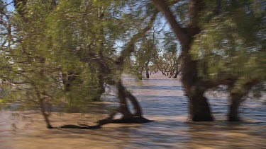 Tracking over flooded waters of desert plain during wet season.