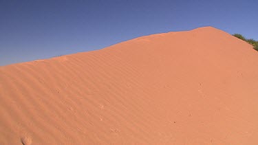 Big Red sand dune, gateway to Simpson Desert against blue sky.