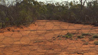 Shot of outback Australian desert landscape through a fence (could be used for rabbit fence or Bilby fence or dingo fence)