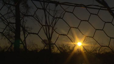 Sunset and silhouette barbed wire fence (Bilby fence)