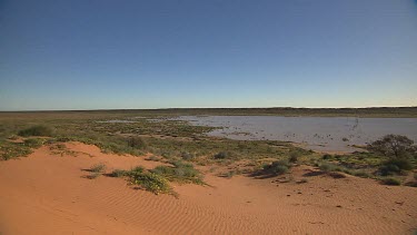 Simpson Desert in flood. Big Red sand dune. WS