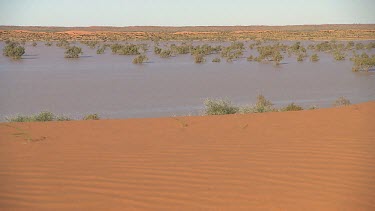 Simpson Desert in flood. Big Red sand dune. WS