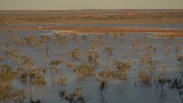 Simpson Desert in flood. Desert Plain. High angle.