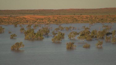 Simpson Desert in flood. Desert Plain. High angle.