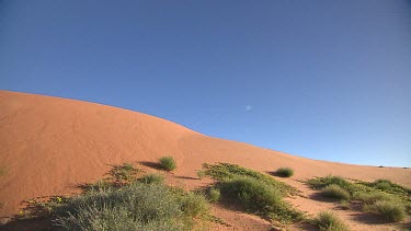 Pan MS sand dune