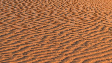 Ripples of sand, sand dune desert.