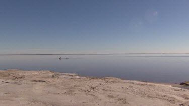 Edge of Lake Eyre shows salt encrusted soil. Small group of three people swimming in shallows in distance.