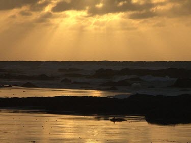 Three shots. Beach sunset silhouette backlit. Last rays of sunlight reflecting on the sand, waves, clouds.