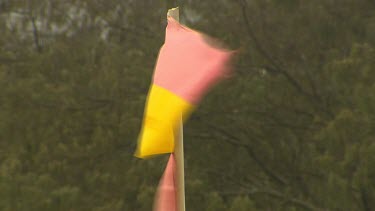 Surf lifesaving flags blowing in the wind.