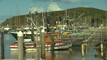 Colourful fishing boats docked at marina harbour Coffs Harbour