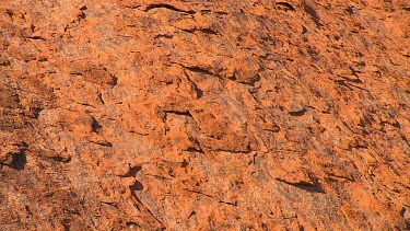 Close up texture of rock Uluru. Almost a scaly shingled texture erosion of outer layers of rock.