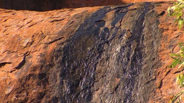 Water stains red rock black, Uluru. Water flowing down red rocks in the desert